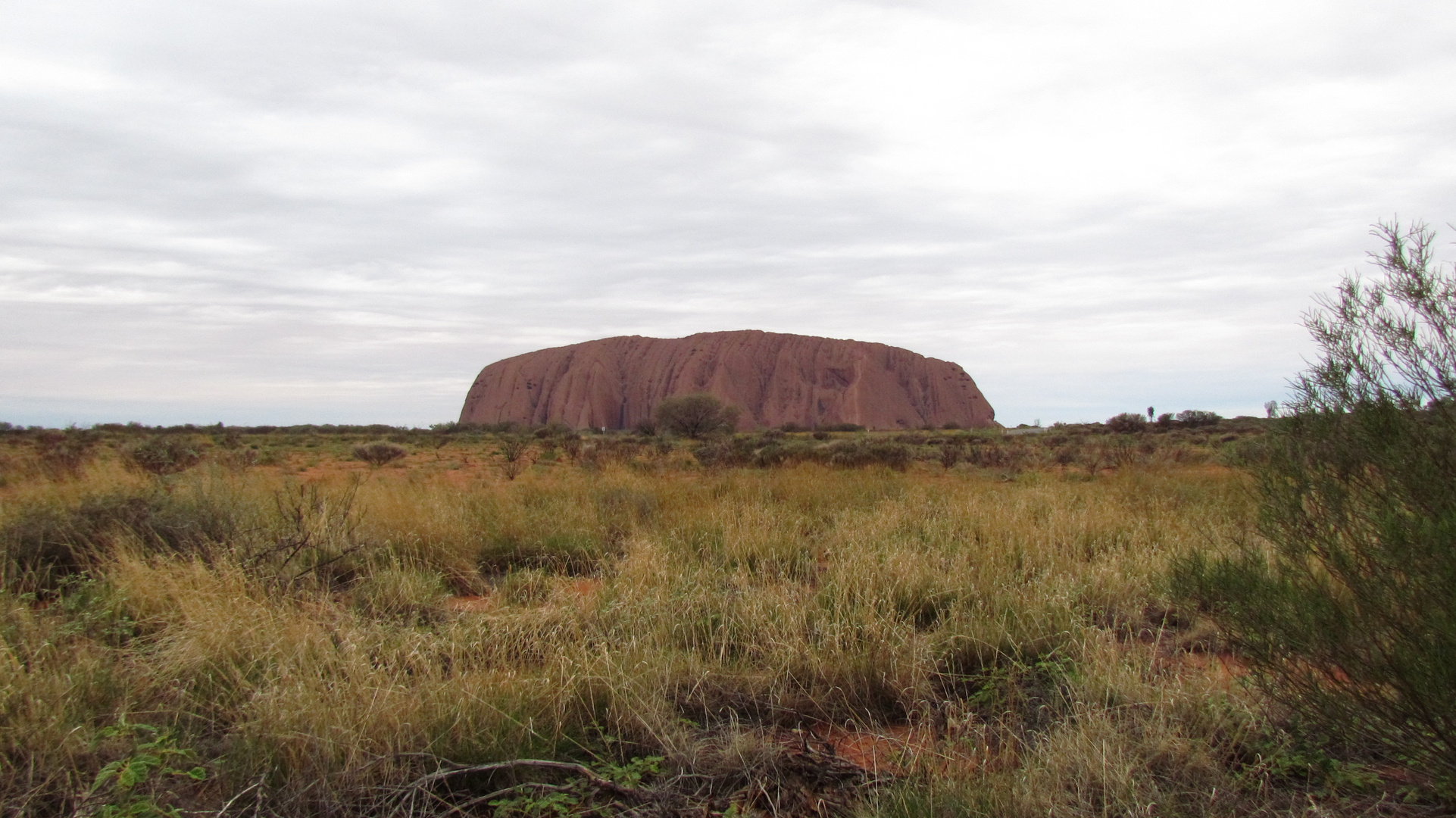 AYERS ROCK (ULURU )