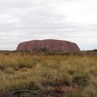 AYERS ROCK (ULURU )