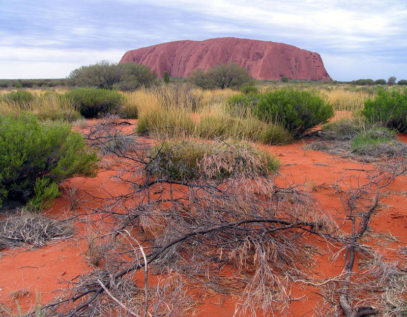 Ayers Rock, zum 5000x, nur diesmal