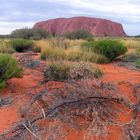 Ayers Rock, zum 5000x, nur diesmal