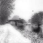 Aylesbury water canals in winter