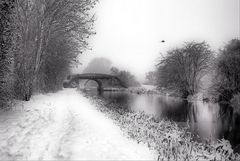 Aylesbury water canals in winter