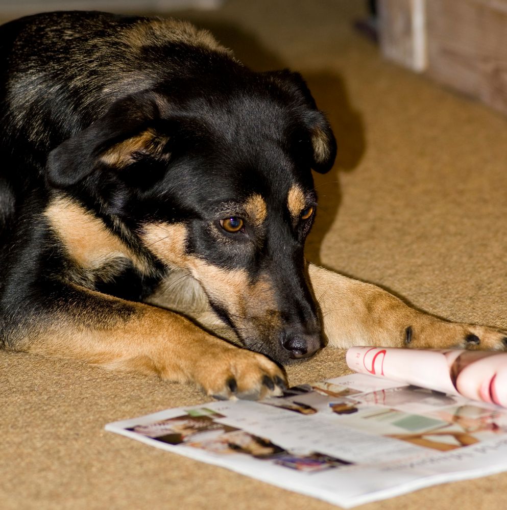 Aylin beim Lesen des "Beauty-Teils" ;)