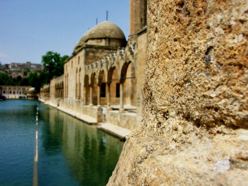 "Ayni Zeliha Pond" which is a part of "Fish Lake"