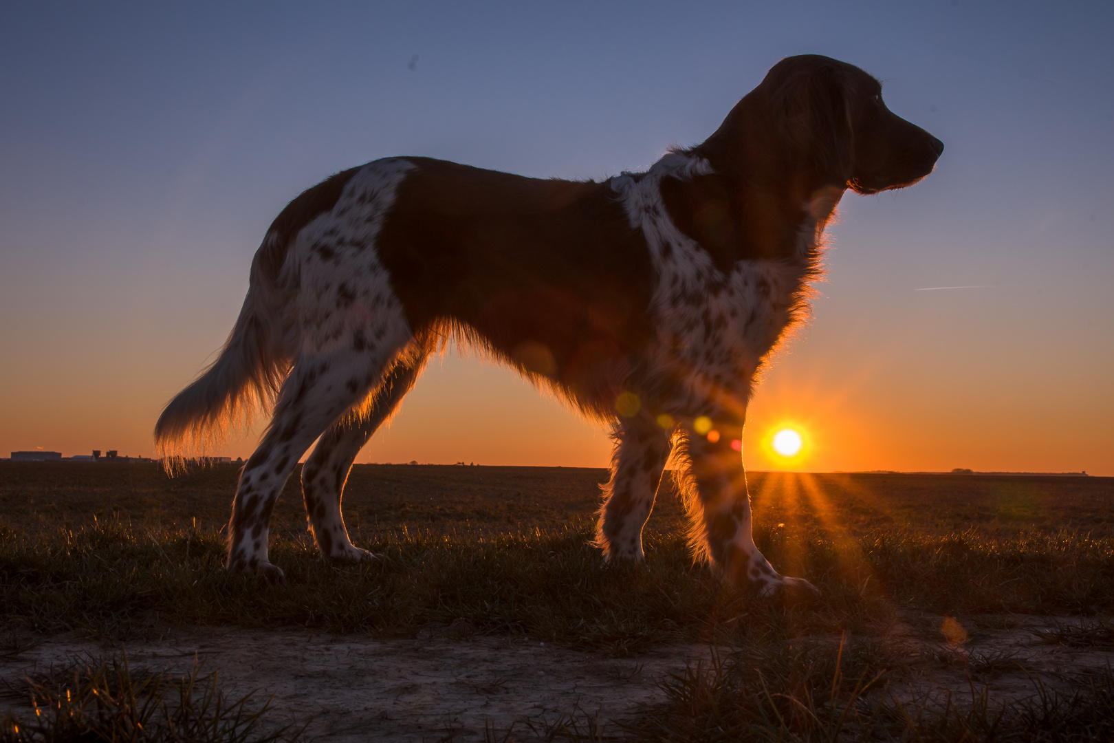 Aysha im Sonnenuntergang