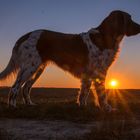 Aysha im Sonnenuntergang