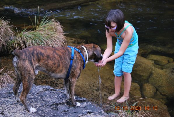 ayudando a un "amigo"