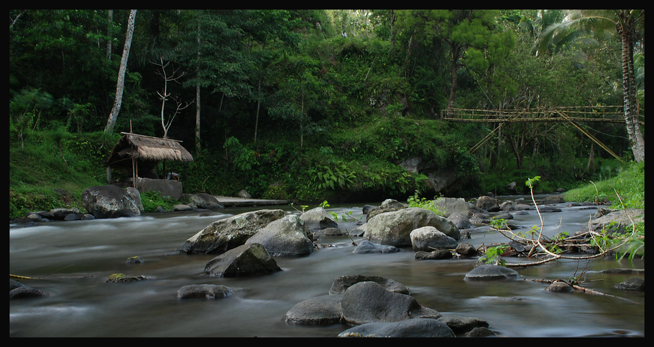 Ayung River