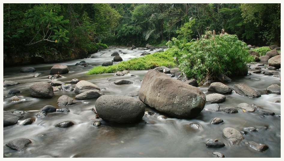 Ayung River 2