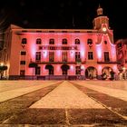 Ayuntamiento de Alcantarilla - Murcia #2