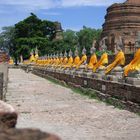 Ayutthaya