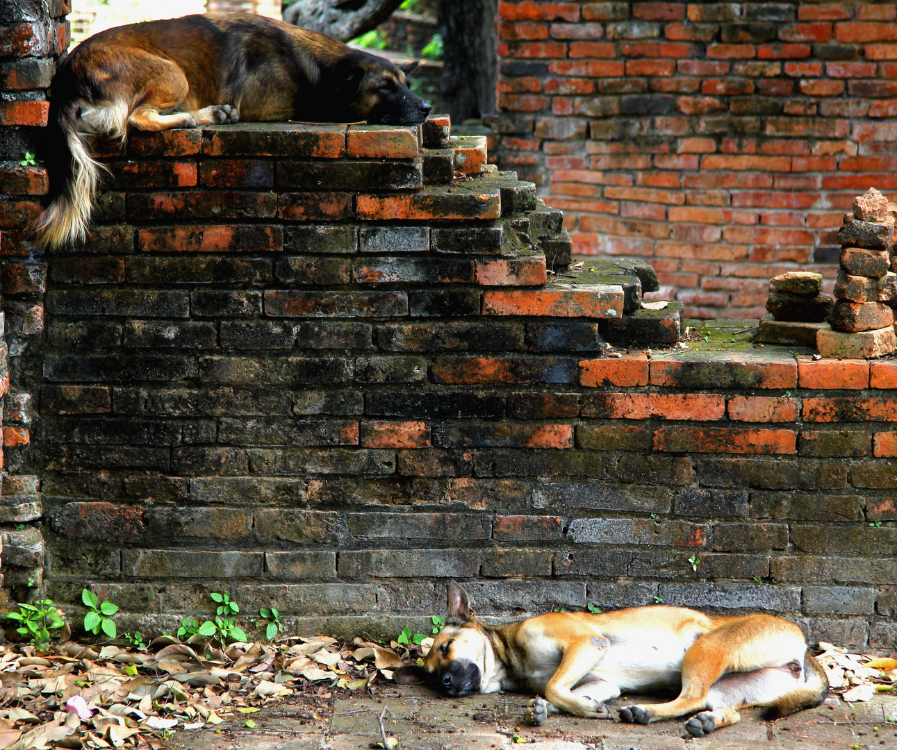 Ayutthaya