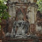 Ayutthaya Buddha