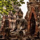 Ayutthaya - Buddha
