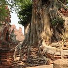 Ayutthaya Tempel Bangkock i