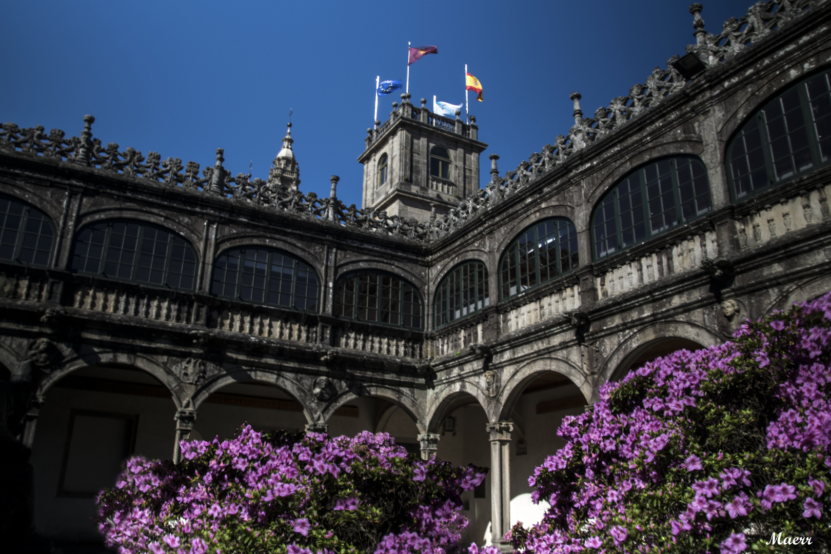 Azaleas centenarias en El Claustro de La Antigua Facultad de Farnmacia