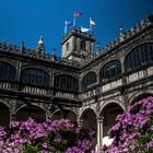 Azaleas centenarias en El Claustro de La Antigua Facultad de Farnmacia