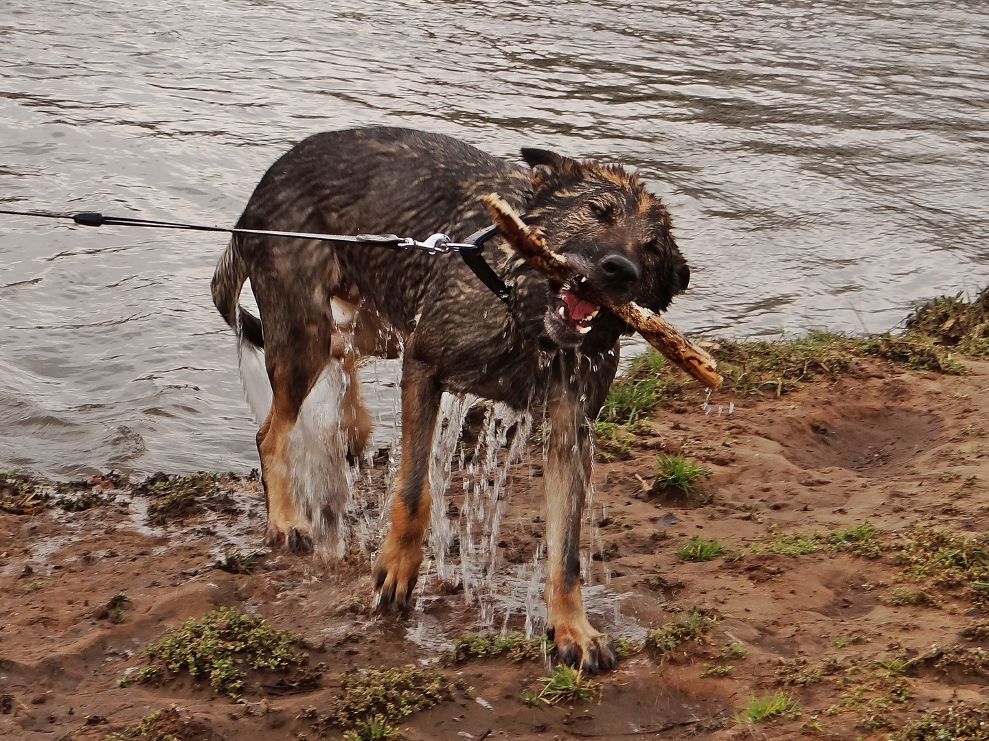 Azcan entdeckt das Wasser