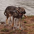 Azcan entdeckt das Wasser