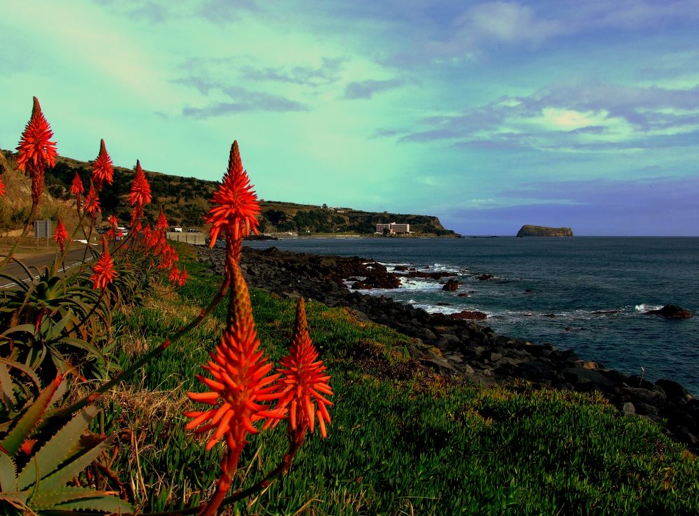 Azorean Riviera, 1  December 2008