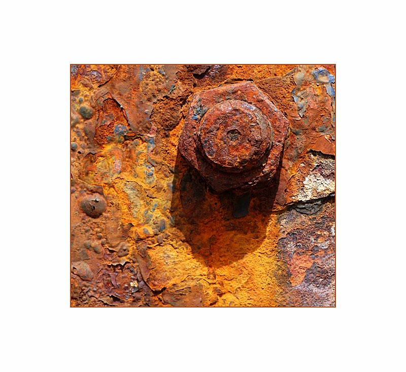 Azoren - Faial - Detail eines alten Krans4