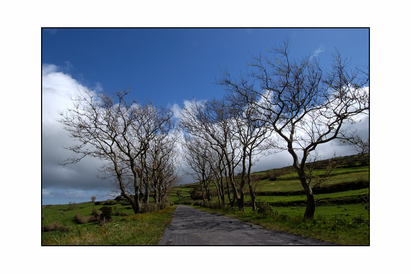 Azoren - Faial - Miniallee