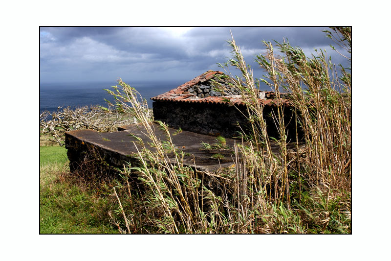 Azoren - Faial - Ruine