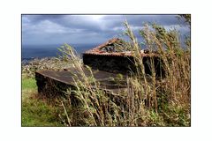 Azoren - Faial - Ruine