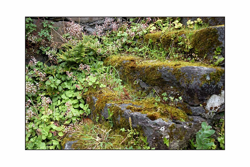 Azoren - Faial - Treppe