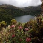 Azoren - Flores - Lago Funda