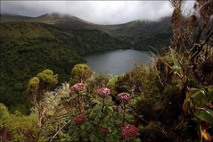 Azoren - Flores - Lago Funda