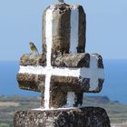 Azoren - Graciosa - Monte de Nossa Senhora da Ajuda