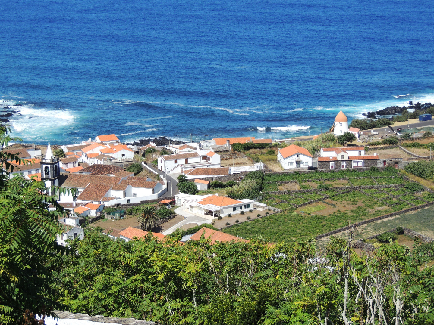 Azoren - Graciosa - Santa Cruz