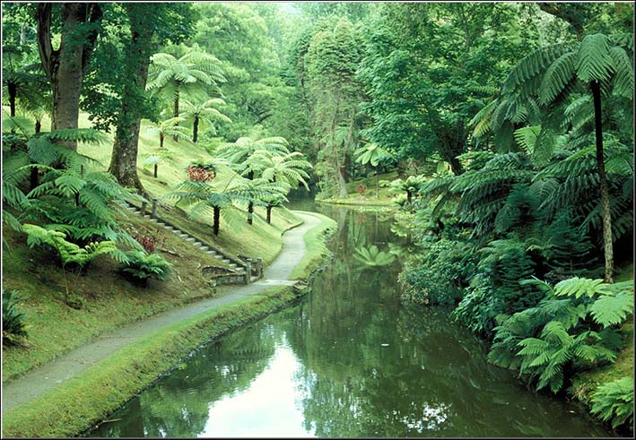 Azoren - Parque Terra Nostra