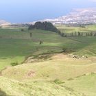 Azoren, Sao Miguel, Blick über Land aufs Meer