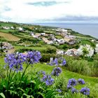 Azoren - São Miguel - Blick vom Miradouro do Pico Vermelho 