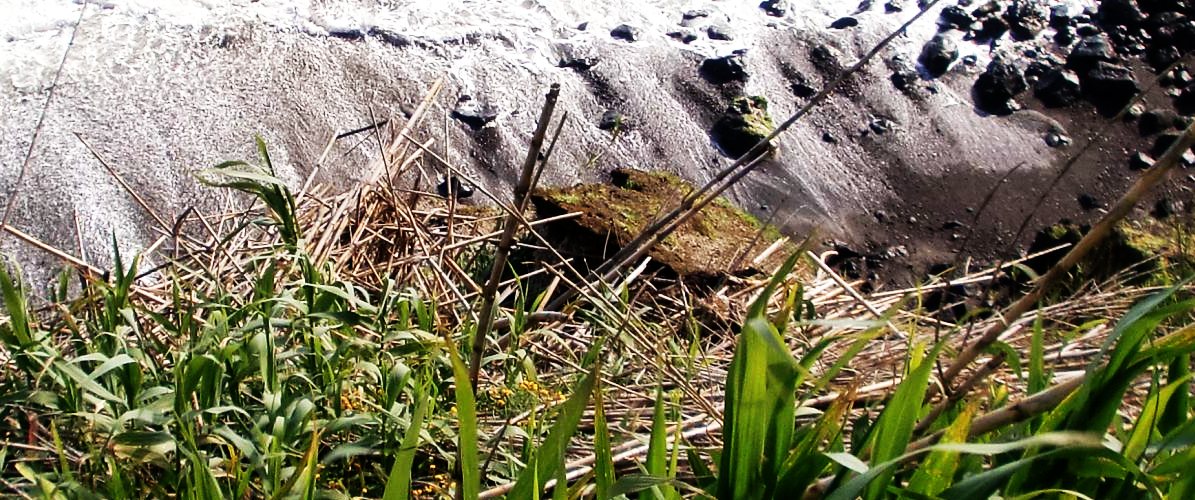 Azoren Strand im kãltesten Tag im Jahr (15.7 C)