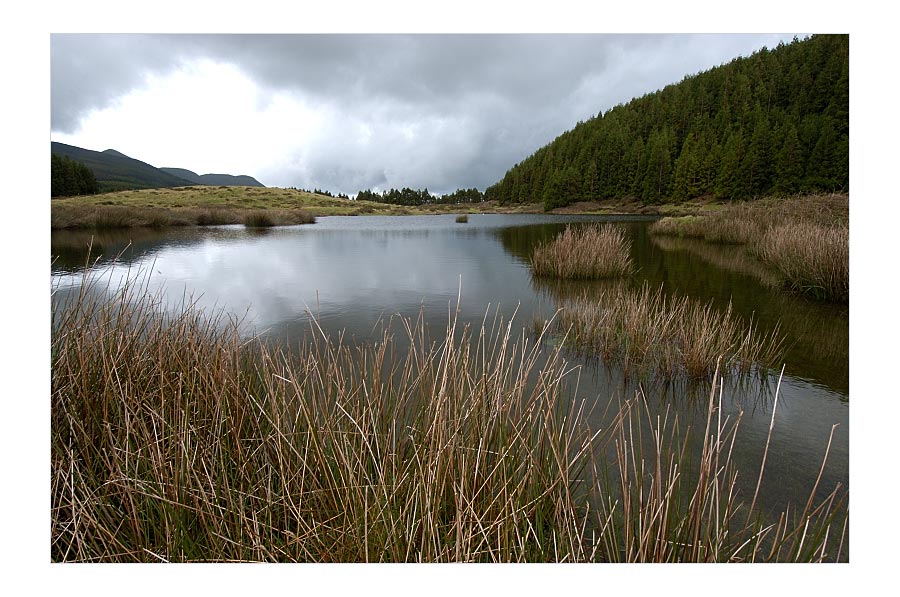 Azoren - Terceira - LagoNegro