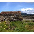 Azoren - Terceira - landw.Nutzland