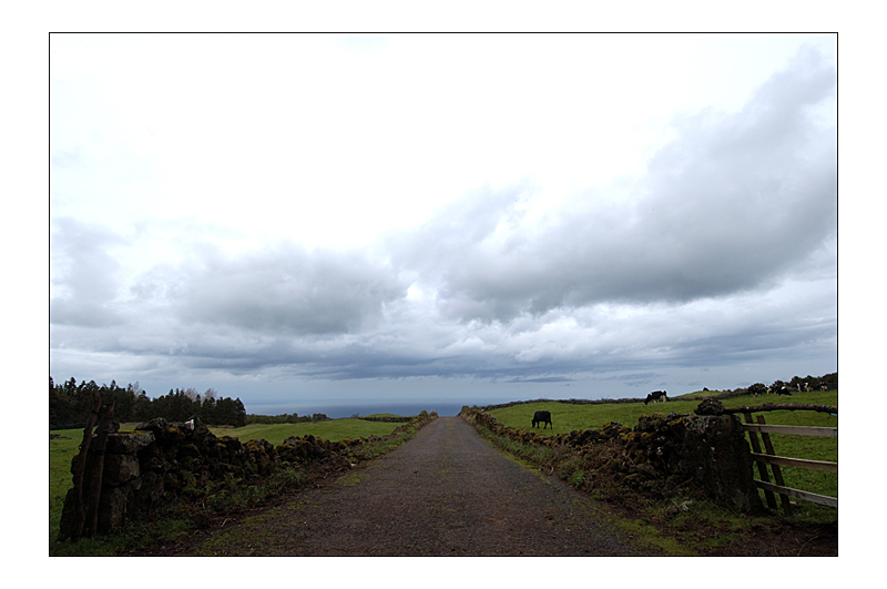 Azoren - Terceira - Straßen2