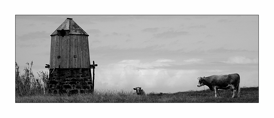 Azoren - Terceira - Windmühle