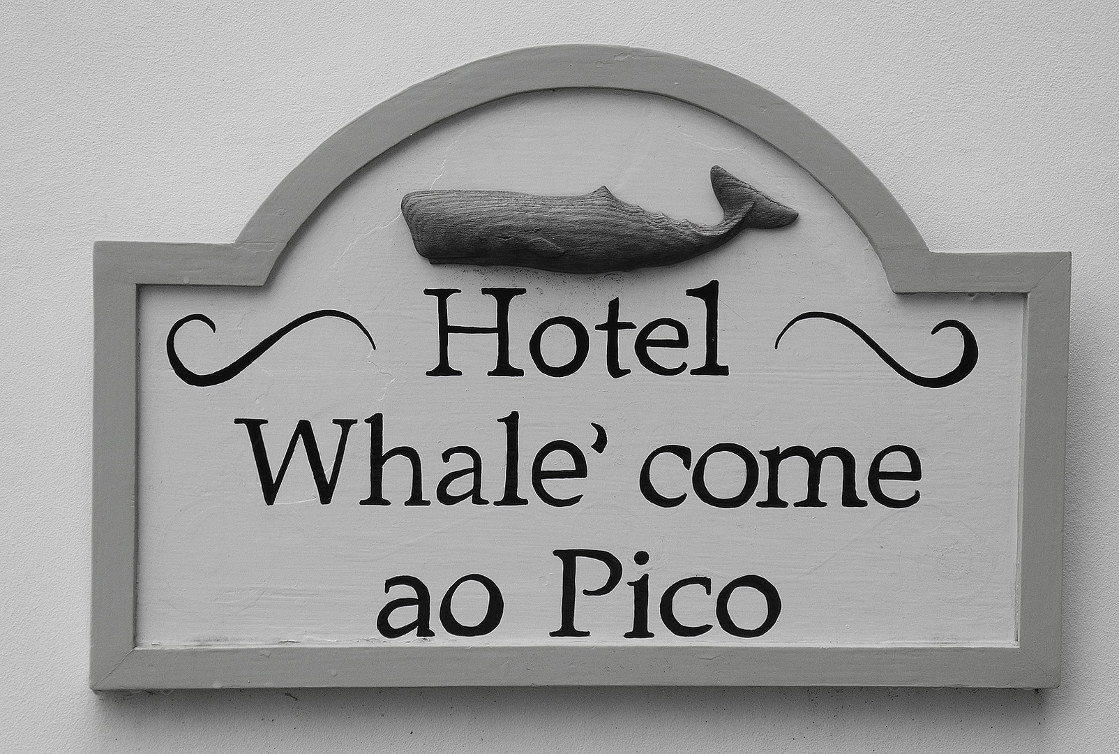 Azoren Whalewatching
