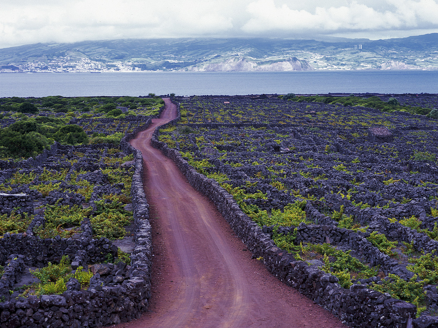 Azorenlandschaft