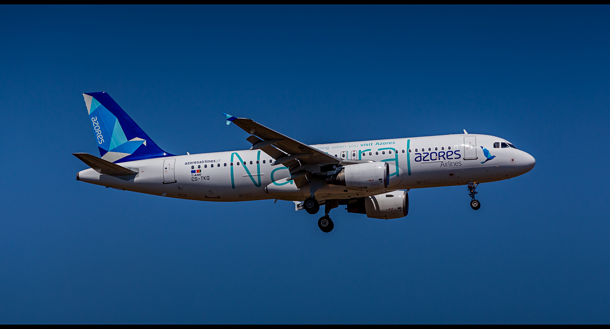 Azores Airlines (Natural Livery), Airbus A320