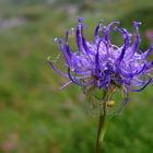 Azul en Picos de Europa ( para JJ Mendez)