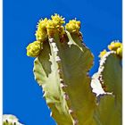 Azul, verde y amarillo