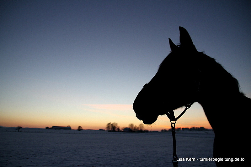 Azula am Abend