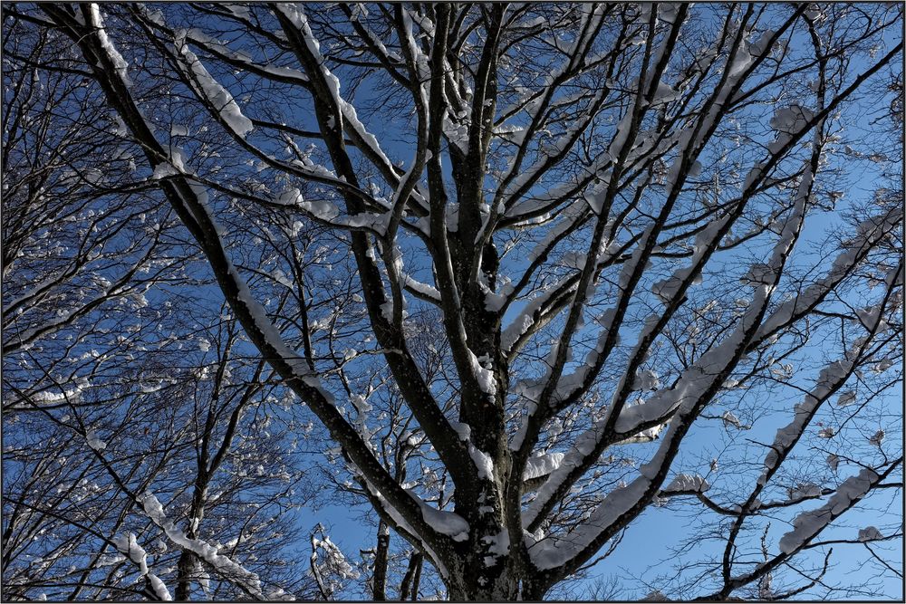 Azurblauer Himmel