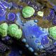 Mineralien