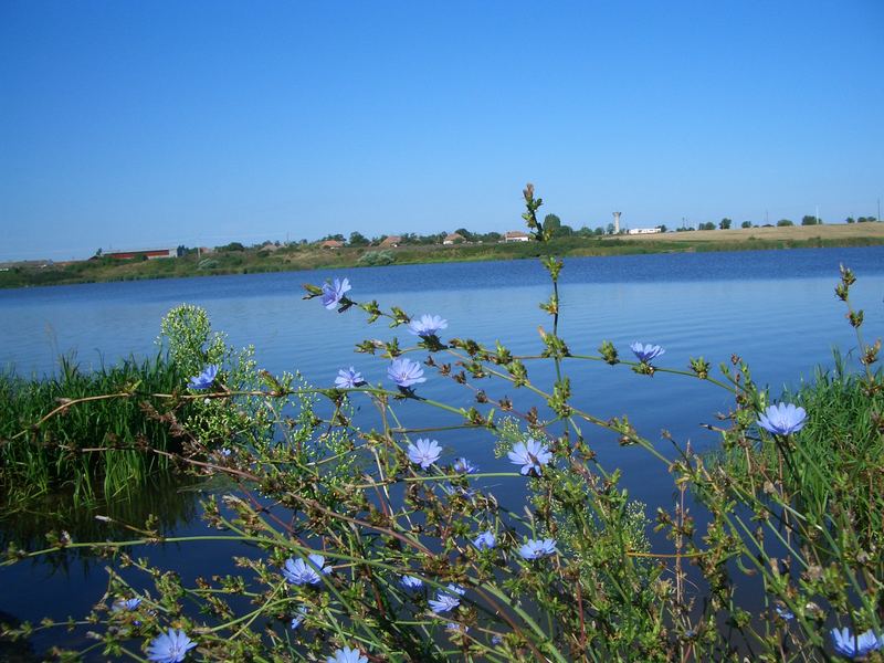 Azzurro